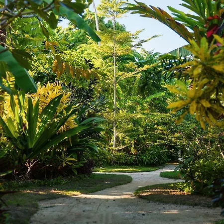 Mantaray Siargao Apartment General Luna  Exterior photo