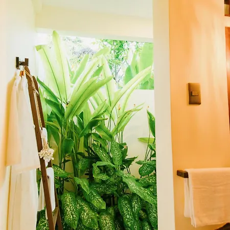 Mantaray Siargao Apartment General Luna  Exterior photo