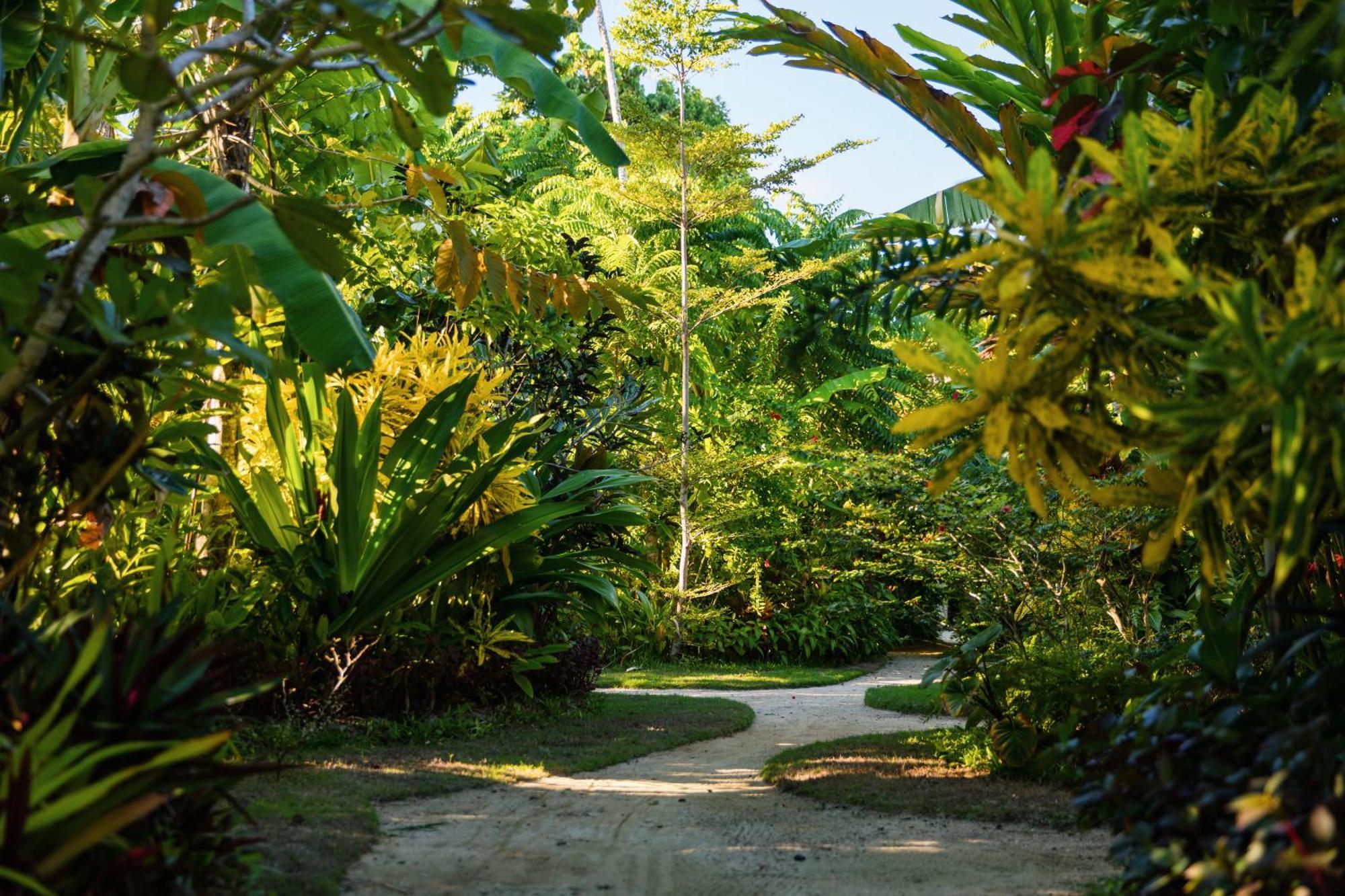Mantaray Siargao Homestay